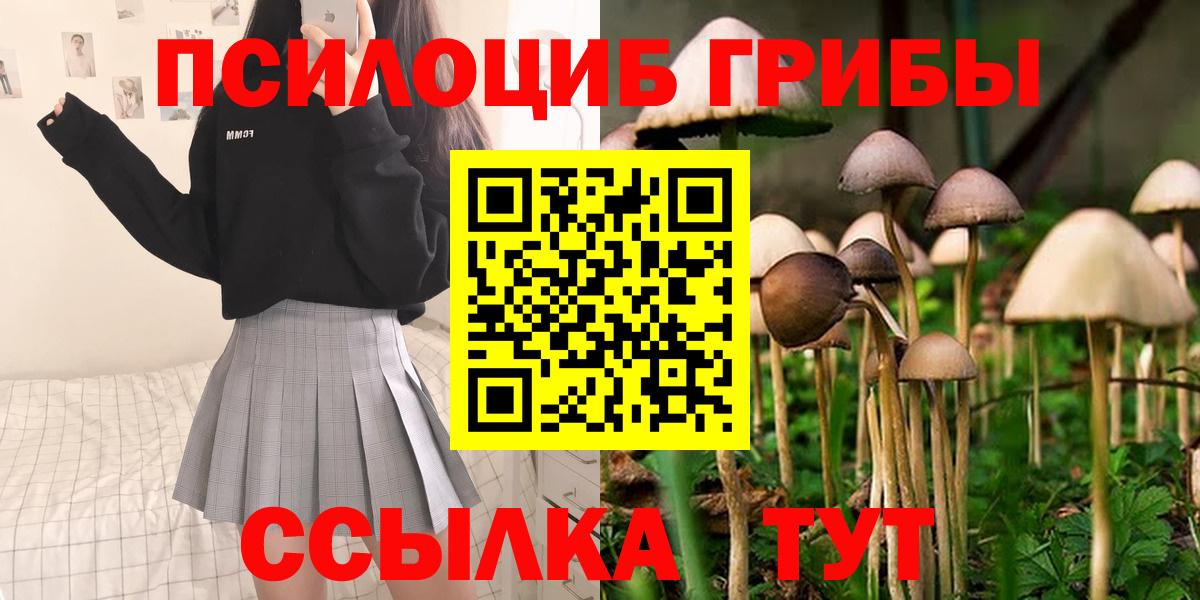 Псилоцибиновые грибы Magic Shrooms Гусиноозёрск